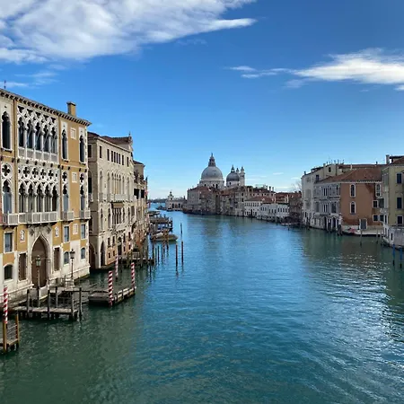 Wow Garden In The Heart Of Venice