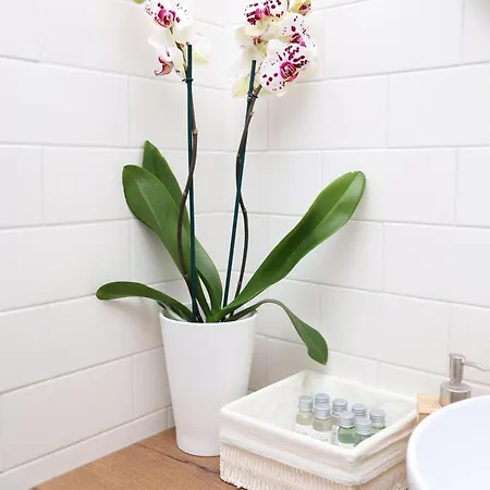 Wow Garden In The Heart Of Apartamento *